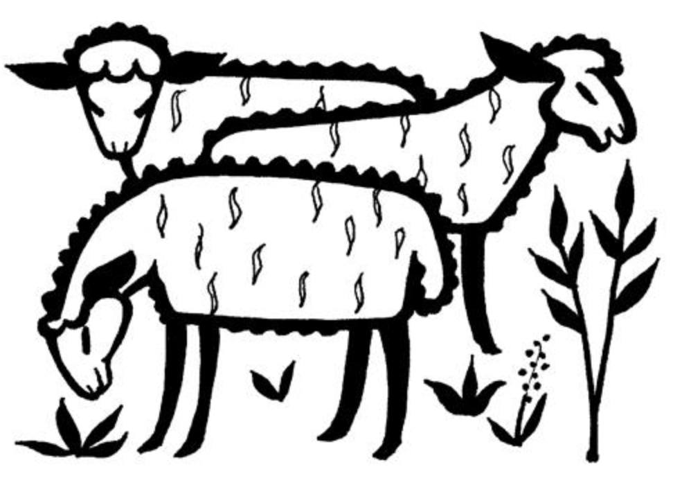 This image has an empty alt attribute; its file name is sheep-sands.png